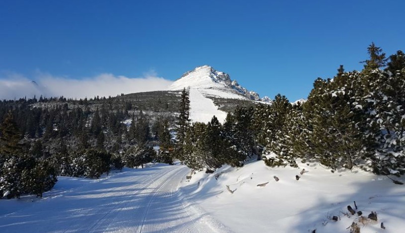 Hotel CROCUS **** Vysoké Tatry